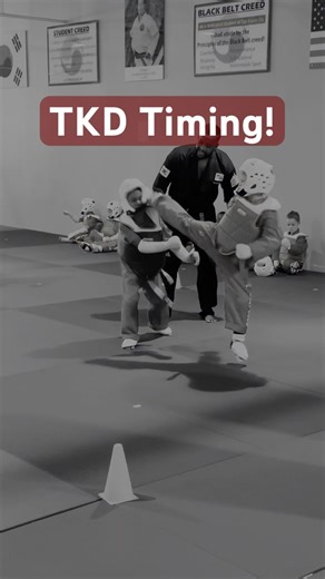 Taekwondo Timing at its Best! 🥋💥