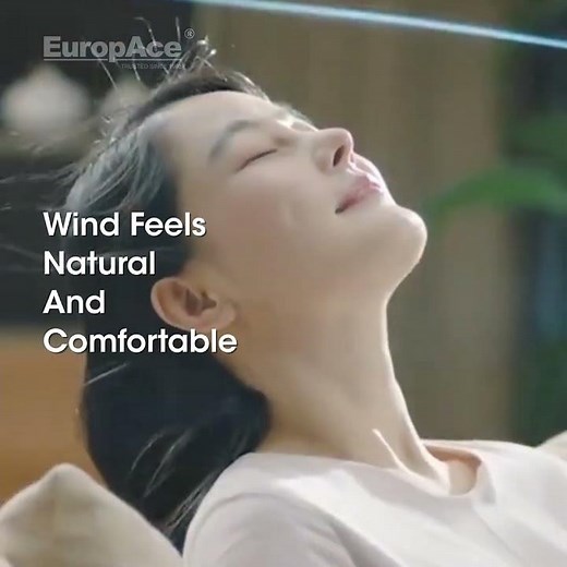 EuropAce EBF Z3 Air Purifying Bladeless Fan - The Tilt