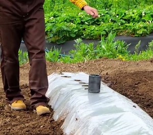 249K views · 415 reactions | Super helpful farming hacks & tips! | Green Bean | Facebook