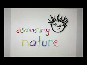 Baby Einstein - Discovering Nature