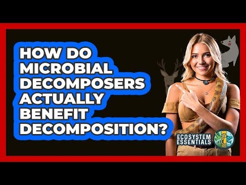 How Do Microbial Decomposers Actually Benefit Decomposition? - Ecosystem Essentials