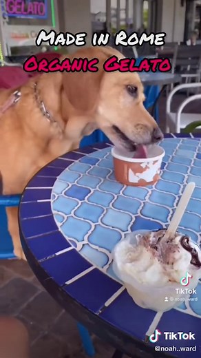 Best Quick Bites on Siesta Key #siestakeyflorida #siestakeysvibes #sarasotafl #floridagulfcoast #ChimeHasYourBack