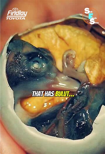 Discover the Unique Experience of Eating Balut