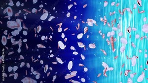 Flying many sea shells in blue water. Collection of realistic shellfish. Tropical underwater. 3D loop animation of shells rotating. Stock Video