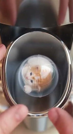 The Most Satisfying Gumball Machine in the World 😮