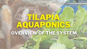 3.9K views · 59 reactions | Hi! 撚戀咽呂 Check out this video for a...