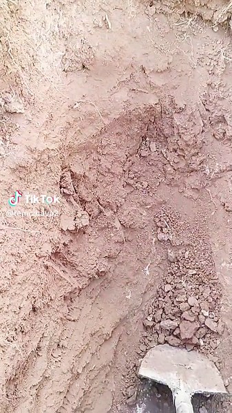 Excavation Techniques: Digging in Sandy Soil