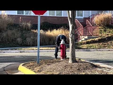 Securing hydrant