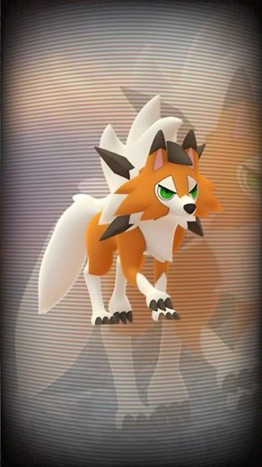 How to Get Dusk Form Lycanroc in Pokémon GO Lustrous Odyssey #pokemongo