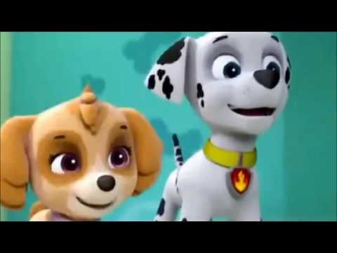 Paw patrol Marshall x Skye for Jonathan Allen