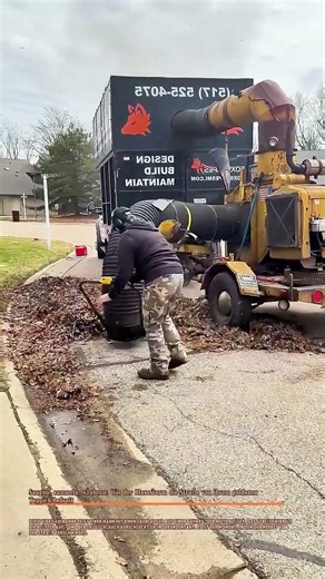 Saugen, sammeln, säubern: Wie der Blasesturm die Straße von ihrem goldenen Teppich befreit