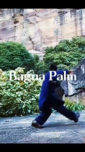 1.3K reactions · 171 shares | Bagua Palm #zen #Bagua #gongfu #martial #martialarts #kungfu #baguazhang | Moon Zen | Facebook