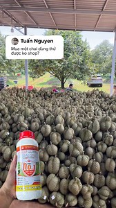 ⚠ THUỐC TRỪ SÂU NO.1 - GIẢM 45% KHI BÀ CON ĐỂ LẠI SỐ ĐIỆN THOẠI TRONG HÔM NAY!!! Combo 3 TẶNG 1 Combo 6 TẶNG 3 Mua thùng công ty tính ngay Giá ĐẠI LÝ 👉 Đặc trị: Rệp muội, sâu xanh, sâu cuốn lá, sâu tơ, sâu khoang, bọ trĩ, nhện đỏ, bọ nhảy.. ✅ Cơ chế tác động thần kinh, khiến sâu bị tê liệt rồi chết dần sau vài giờ, kể cả trứng và ấu trùng. ✅ Dạng sữa mát, phun vào không chị rụng hoa, trái non👉 Sử dụng được cho hầu hết các loại cây trồng và ở mọi giai đoạn. ✅ Đặc biệt 1L thuốc pha được 1500ml- 