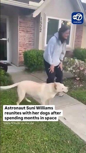 Astronaut Suni Williams Reunites With Her Dogs After 9 Months in Space