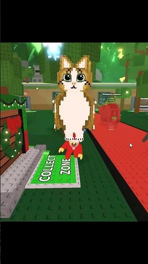 Sammy puts 4 Meows OG into the Santa’s Fuse machine.”