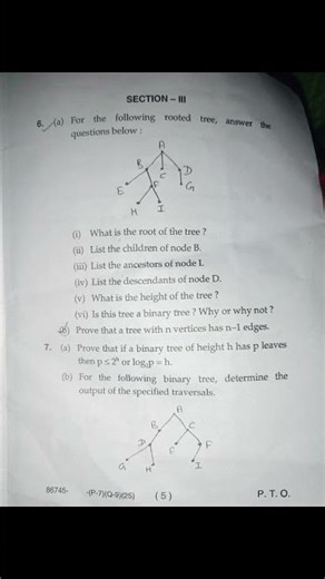 Msc math 3rd sem Graph Theory Question paper 2025,dec