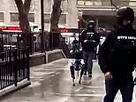 NYPD officers use robot dog in order to help apprehend suspect