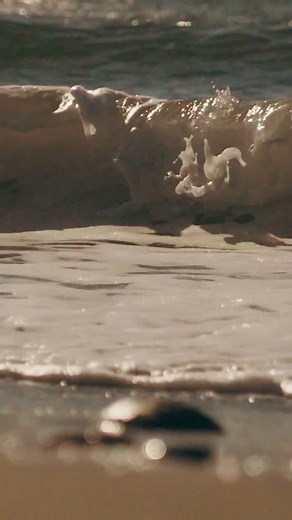 39 reactions | SURF CITY MOMENTS 變 | Surf City | Facebook