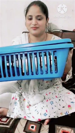Best Kitchen Sink Dish Drainer Rack 🔥 | Meesho Budget Find #shorts #dishrack #meesho #meeshofinds