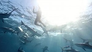 Изоляция - Isolation (2015)