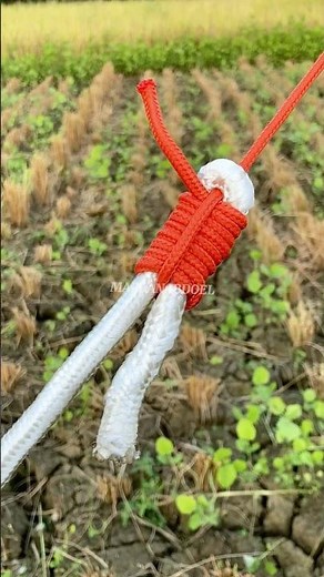 How to Tie a Heavy-Duty Loop Knot 🪢 | Easy & Secure Tutorial