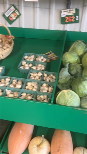 2K views · 18 reactions | C’est encore le temps de venir vous procurer des belles citrouilles, délicieuses courges, de l’ail à planter, des graines rouges, etc! | Le Végétarien | Facebook