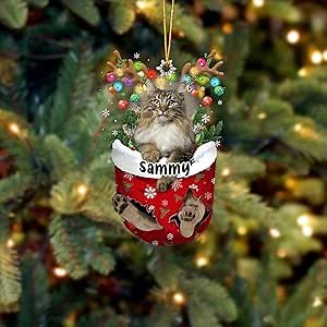 Personalized Norwegian Forest Cat Ornament, Custom Pet Name Ornament, Flat 2D Printed Acrylic Hanging, Santa & Cat, Christmas Decoration, Pet Loss & Birthday Gifts