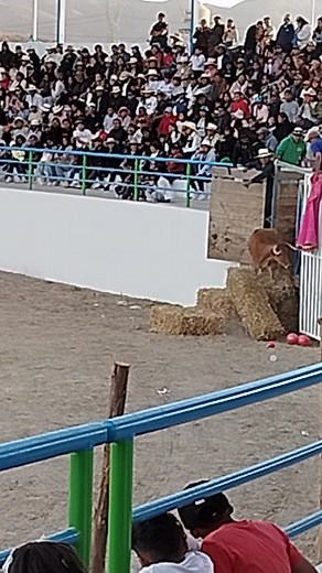 Toro match en Yarabamba | Julio Condori Muñoz