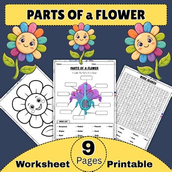 Parts Of a Flower | Plant Anatomy Labeling Worksheet + Word Search | Activities