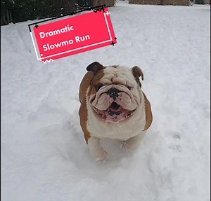 Dramatic Slow Mo Running in Snow