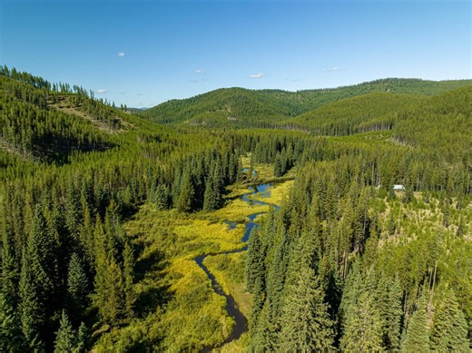 Nhn Logan Creek Road, Kila, MT 59920 - Land for Sale | LoopNet