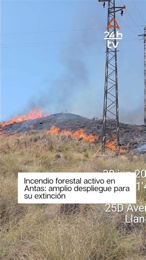 Incendio forestal activo en Antas: amplio despliegue para su extinción