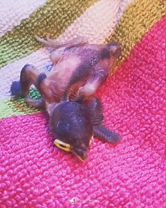 373K views · 8.5K reactions | Their relationship will melt your heart! | Power of Positivity | Facebook