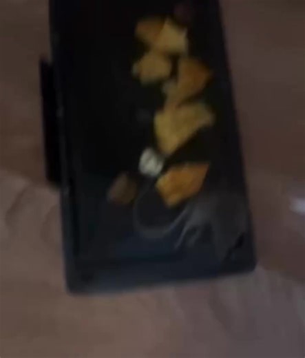 Funny Mouse Trap Experience After Three and a Half Months