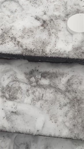 Snow fun! | Sheilina Bernard