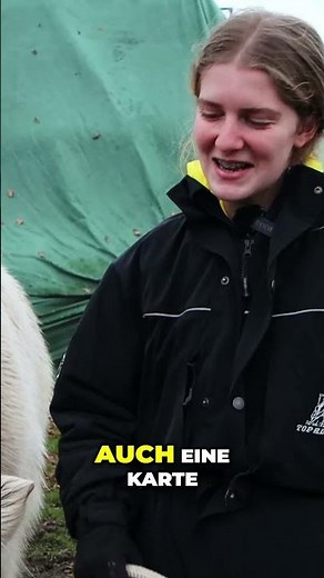 Pferdetraining: Kartenübungen & Zukunftsziele