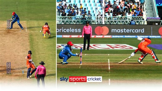 Cricket World Cup: Afghanistan continue dream campaign with victory over Netherlands