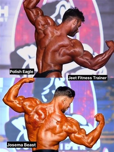 Polish Eagle VS Josema Beast | Back Comparison #shorts #comparison #back #josemabeast #bodybuilding