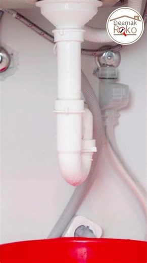 Termite Infestation Due to Moisture | Damp Walls, Leakage & Seepage Attract Termites | Prevention