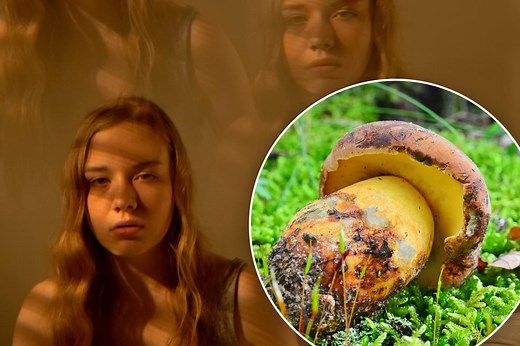 These ‘Lilliputian’ magic mushrooms will make you hallucinate teeny-tiny people