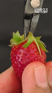 10K views | Strawberry Skin Under Macro Lens | Macro Unbox Factory | Unbox Factory | Facebook