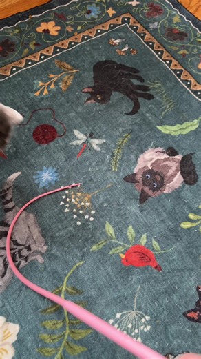Pine Paw Mousetail Teaser: The Ultimate Cat Toy