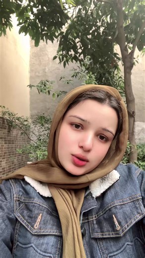 Consultation Procedure Overview