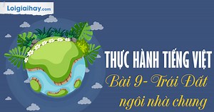 Soạn bài Thực hành Tiếng Việt trang 81 SGK Ngữ văn 6 tập 2 Kết nối tri thức với cuộc sống chi tiết | Soạn văn 6 - KNTT chi tiết