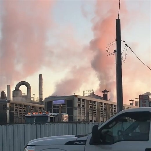 37K views · 1.5K reactions |  SOUND ON Don't turn away. Hear them. Help them.  Join us: AnimalSaveActions.com Video: Pigs scream out from inside slaughterhouse by Louisville Pig Save | Animal Save Movement | Facebook