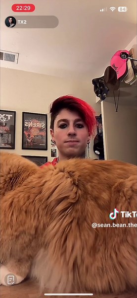 Long Sean Bean scene today🥰 #tx2 #superbloodcam #tx2livestream #livestream #cat #orangecat #seanbean #seanbeanthecat #seanbeansscene