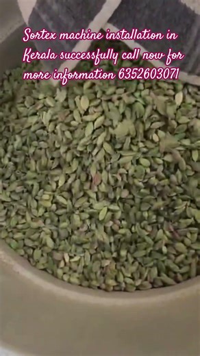 cardamom Sortex, cardamom best color sorter #cardmom#kerala #dryfruits #colorsorter