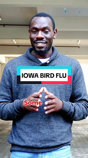 Bird Flu Outbreak in Iowa: 4.12 Million Chickens Slaughtered