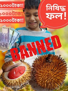 30M views · 436K reactions | ১টা ছোট্ট ফলের দাম ১০০০ টাকা!! তাও আবার নি/ষিদ্ধ!! ভাবা যায়!!! 珞珞珞 আমার পরিবারের ছবিসহ ব্লগঃ Puchir Ma 珞珞珞 | Golu's Review | Facebook