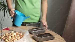 A young boy is using a blue watering can to plant onions in repurposed plastic containers at home. This image highlights the importance of teaching children about sustainable living and indoor